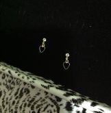 Cód. B0815g - Brinco folheado a ouro 18k